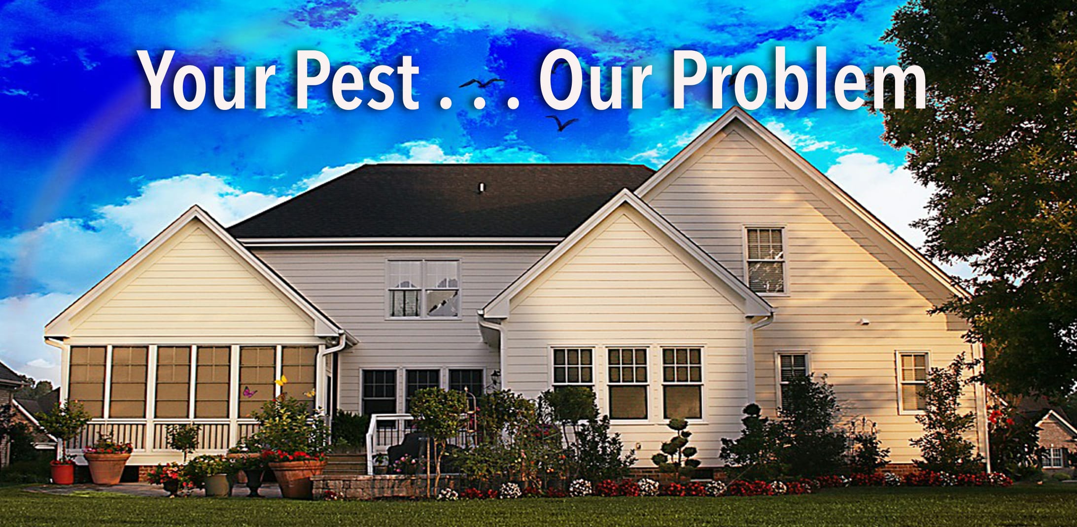 Pest Control Service Photos